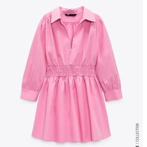 Zara Pink Dress